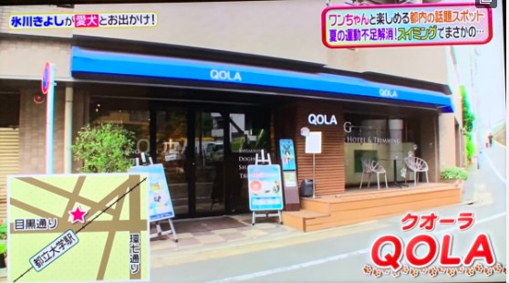 日本テレビ「ヒルナンデス」にQOLAが紹介されました