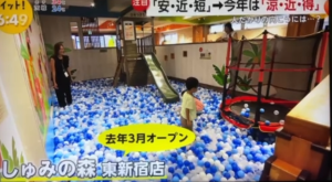 【テレビ紹介】フジテレビ「 Live News イット!」 で「しゅみの森 東新宿店」が紹介されました